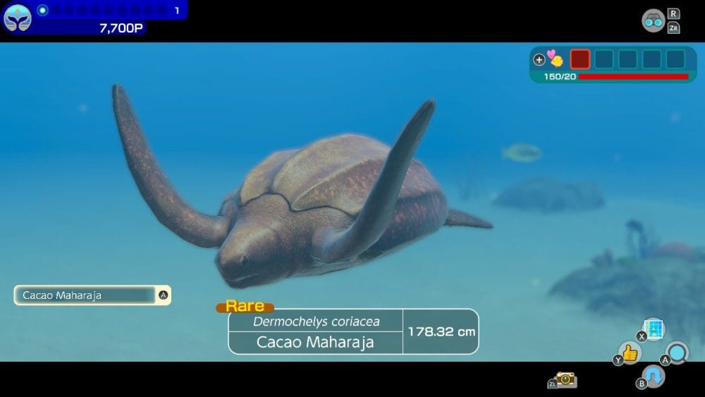 Image from Endless Ocean Luminous. Scanning a turtle